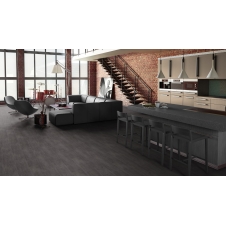 Виниловый пол Tarkett PROGRESSIVE HOUSE William Виниловый пол Tarkett PROGRESSIVE HOUSE William