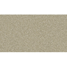 Линолеум POLYSTYL SPACE Tetto 2 (Тетто 2) Линолеум POLYSTYL SPACE Tetto 2 (Тетто 2)